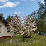 Magnolia - In Ambrosian * Trzebiez