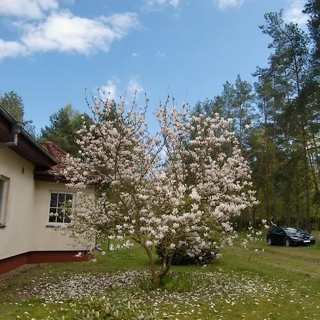 Künstler-villa Ambrosian Magnolia * Trzebiez